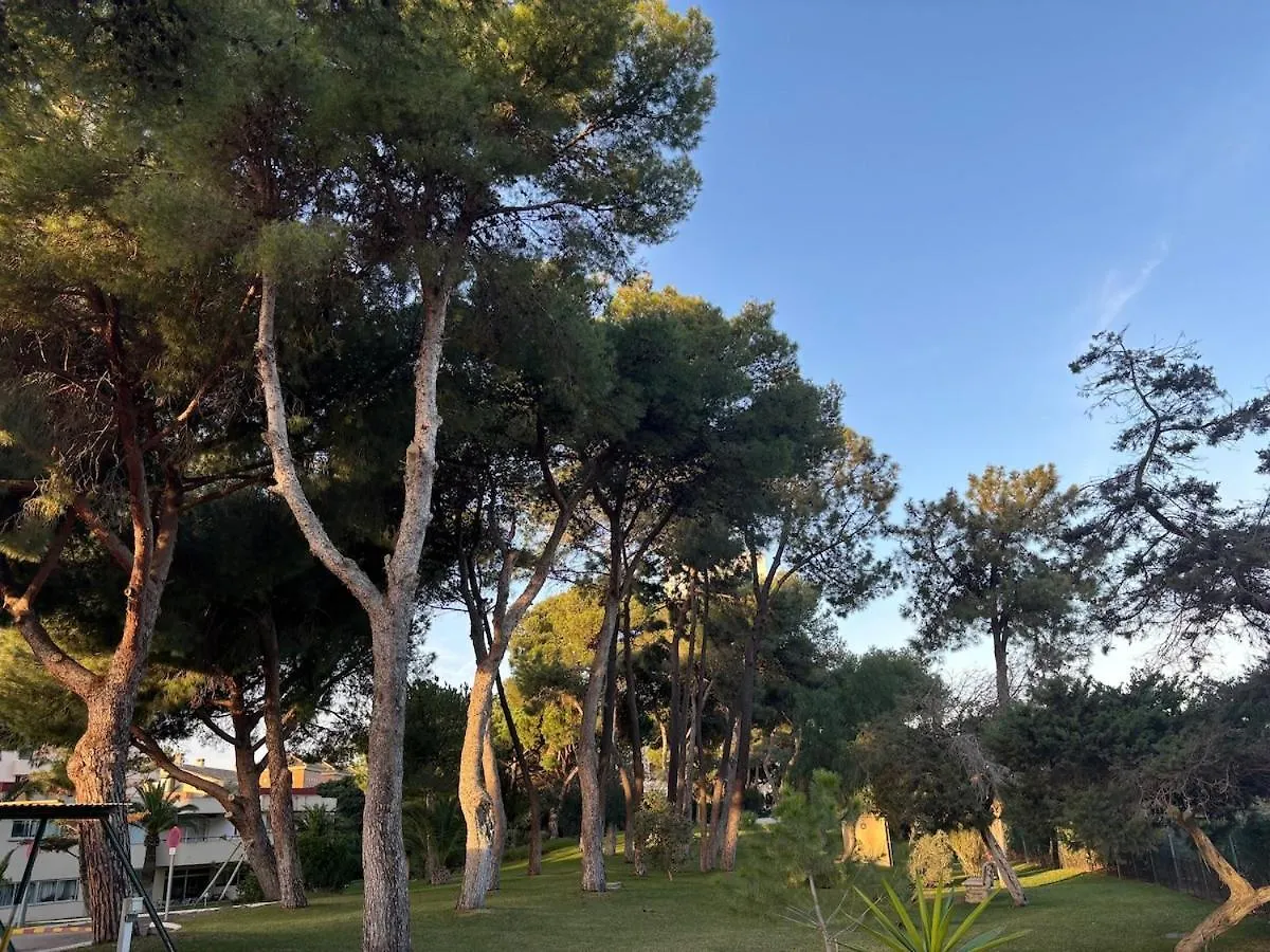 Wonderful Apartment In Marbella Enjoy The Fantastic Views 0*,  スペイン